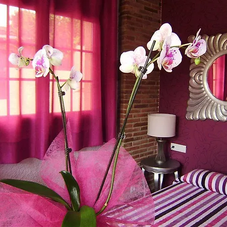 Bed & Breakfast Cal Music Premia De Dalt